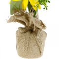 Floristik24 Künstliche Sonnenblume, Seidenblume, Sommerdeko, Sonnenblume im Jutesack