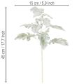 Künstlicher Senecio-Zweig Greiskraut Silberblatt 45cm 3 Stück | Floristik24.at