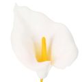 Künstliche Calla weiß 35cm mit