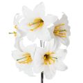 Floristik24 Kunstblumen Lilien Weiß mit Draht 35 cm 5er-Set