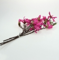 Floristik24 Magnolien Zweig Pink 45cm 4St