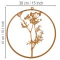Metallring Wanddeko Edelrost Dillzweig Ø38cm Rostbraun | Floristik24.at