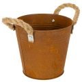 Floristik24 Metalltopf mit Griffen Ø16,5cm H15cm, Rostoptik für Kräuter und Dekoration