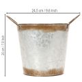 Pflanzgefäß Metall Blumenschale mit Henkeln Ø18cm H20cm silbern rostrot | Floristik24.at