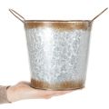 Pflanzgefäß Metall Blumenschale mit Henkeln Ø18cm H20cm silbern rostrot | Floristik24.at