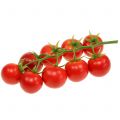 Floristik24 Strauchtomate Ø4cm 1 Rispe